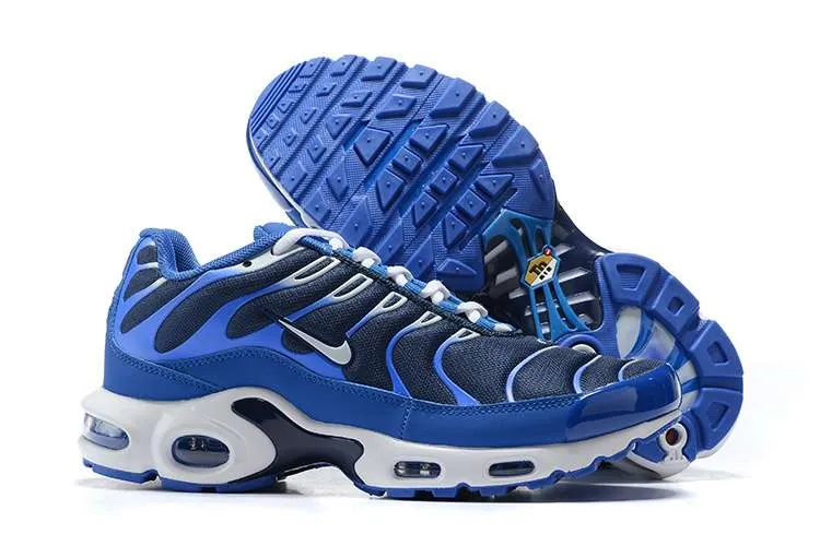 AIR MAX PLUS TN 'ARTIC CHILL'