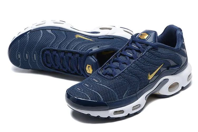 AIR MAX PLUS TN 'FRENCH FOOTBALL FEDERATION'