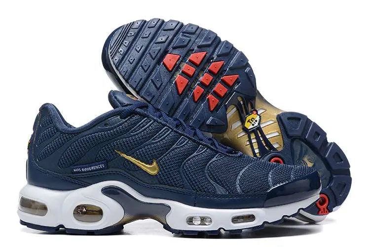 AIR MAX PLUS TN 'FRENCH FOOTBALL FEDERATION'