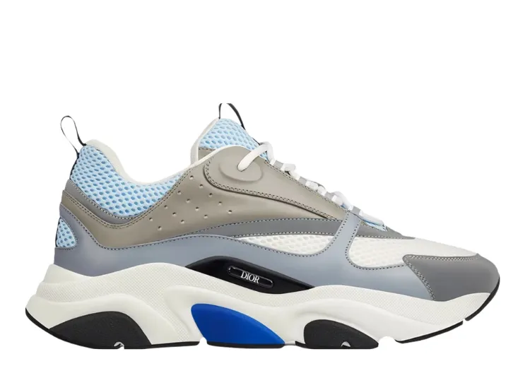 DIOR B22 'WHITE BLUE'